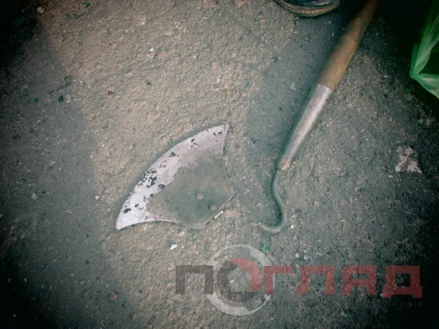 На закинутому стадіоні кілька десятків людей влаштували толоку (Фото) + (Відео) — фото 2