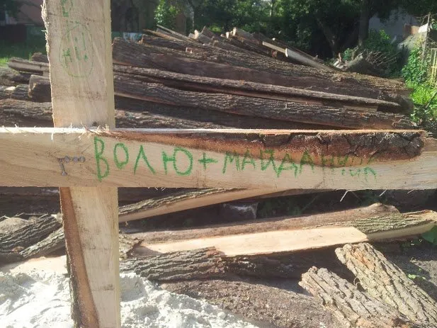 Діти долучились до боротьби за дитячий майданчик на вул.Гнатюка (Фото) + (Відео) — фото 1