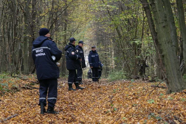 Більше півтисячі людей шукали в лісі п’ятирічну дівчинку (Фоторепортаж) + (Відео) — фото 5