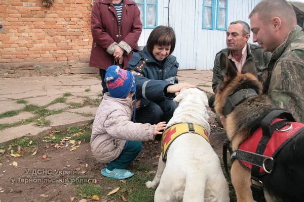Більше півтисячі людей шукали в лісі п’ятирічну дівчинку (Фоторепортаж) + (Відео) — фото 7
