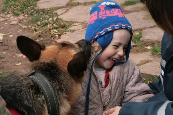 Більше півтисячі людей шукали в лісі п’ятирічну дівчинку (Фоторепортаж) + (Відео) — фото 8