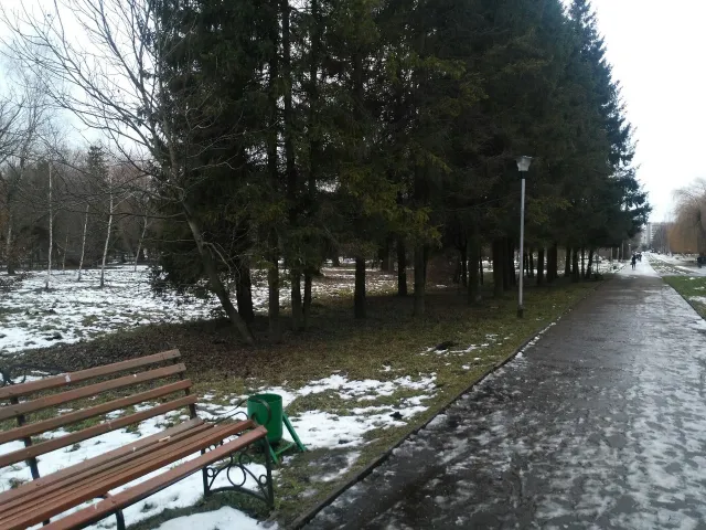 В тернопільському парку люди побачили десятки трупів (Фото) — фото 2