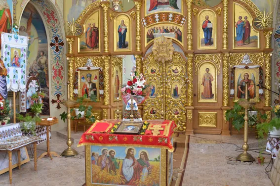28-річний зловмисник крав корів і старовинні ікони (фото) + (відео) — фото 1